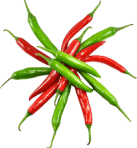 Provident qui assumenda