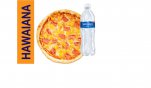 Combo pizzahawuaiana+san carlos s/g 625ml..