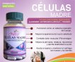 Natural products celulas madres frasco 100 caps x1