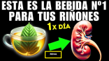 Renal fitomundo 40g........................